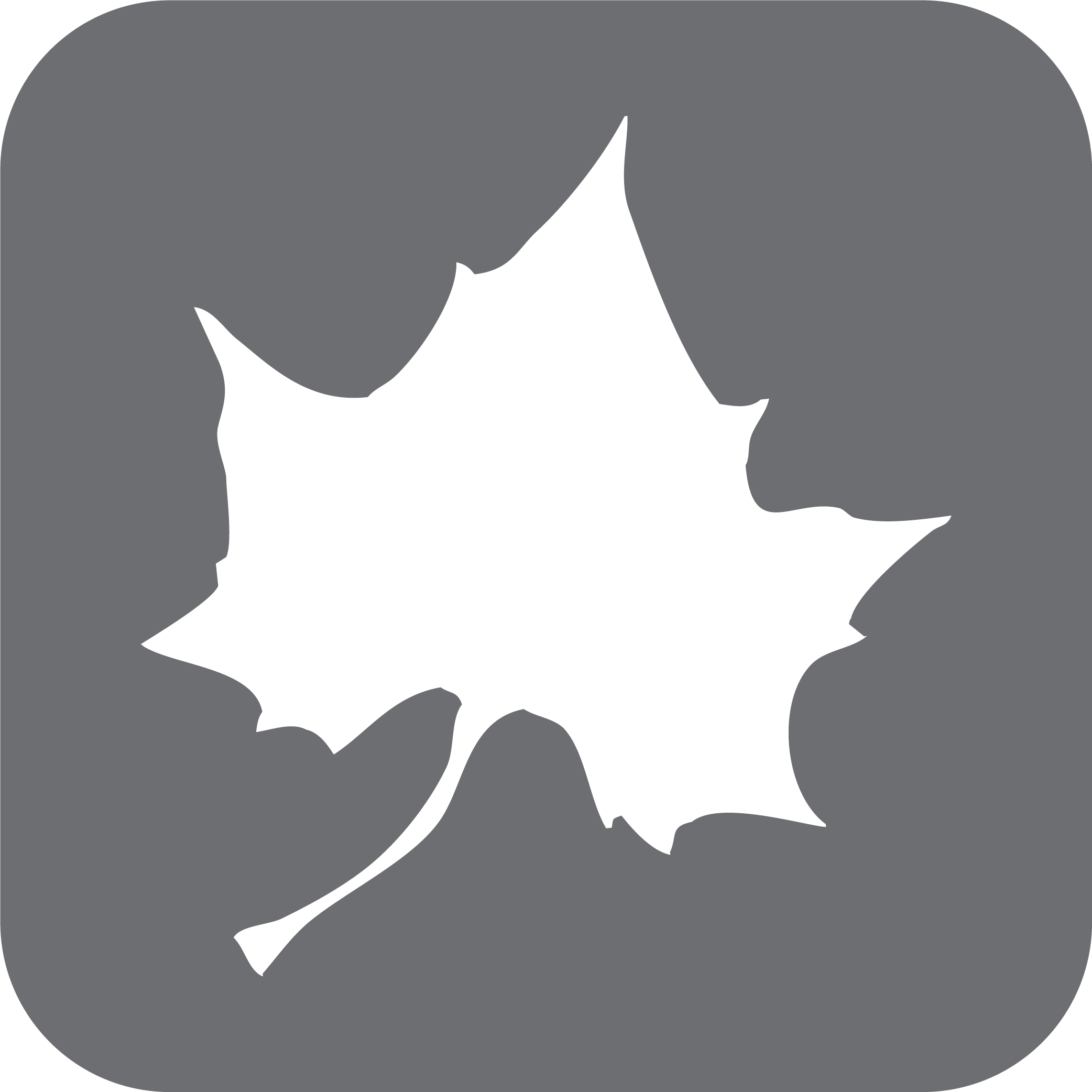 Leaf icon